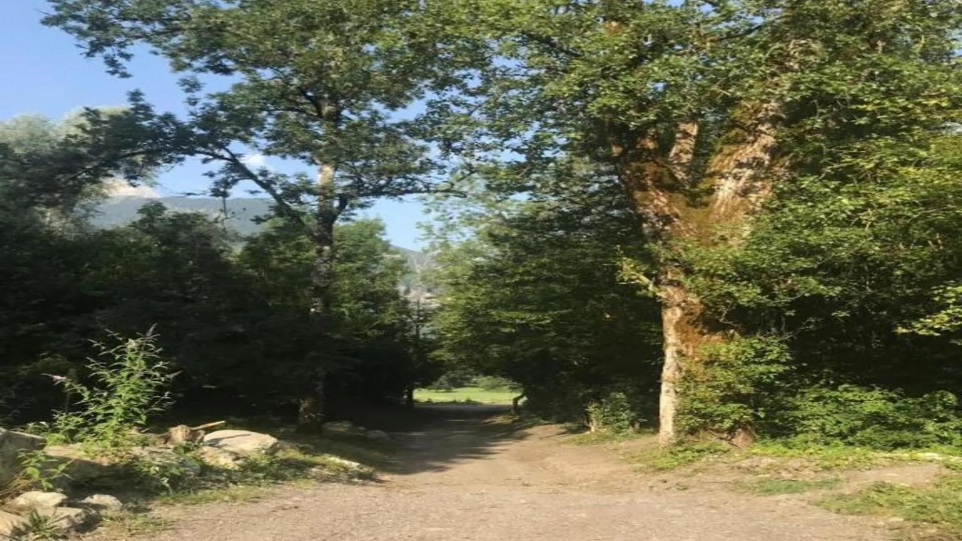 Great Apartment In Near Lake Annecy Giez Francie